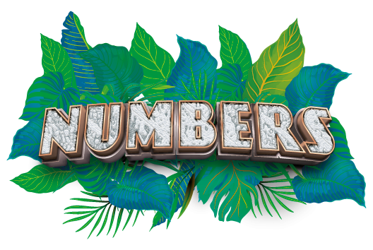 Numbers 100ml