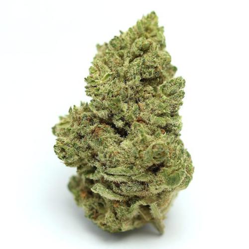 alien og