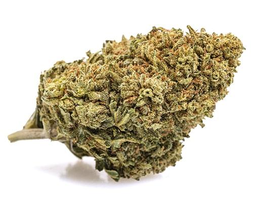 White widow n10 30%